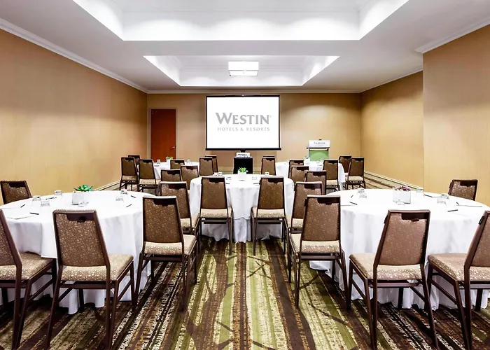 Hotel The Westin Michigan Avenue 4*